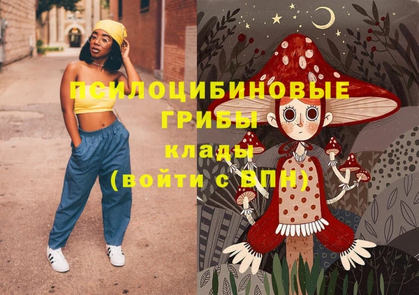 сатива Арсеньев