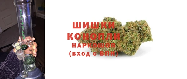 сатива Арсеньев