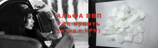 сатива Арсеньев