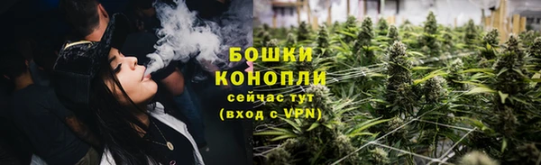 сатива Арсеньев