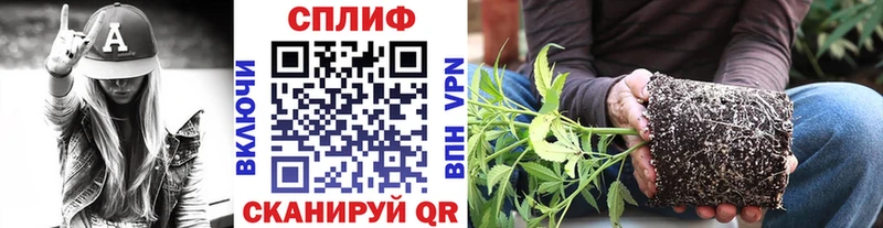 хочу   hydra как войти  Бошки Шишки VHQ  Пролетарск 